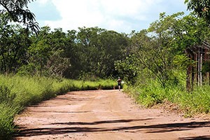 cerrado UFSCar