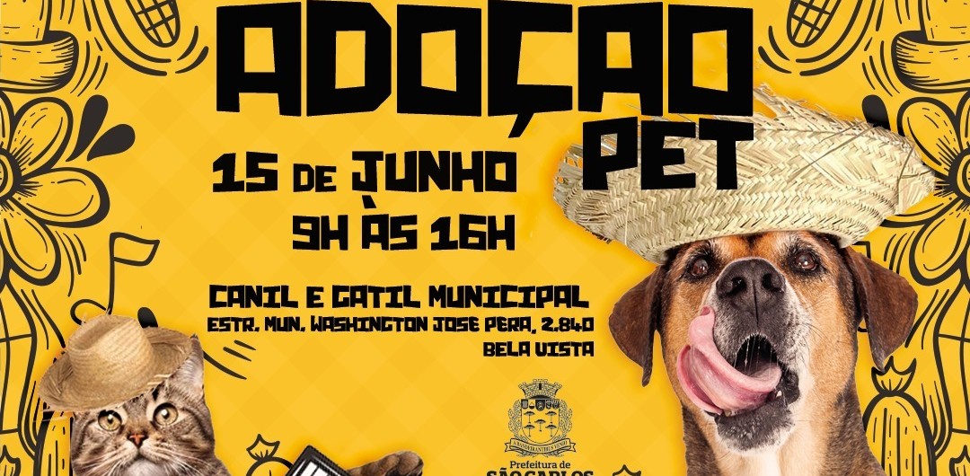 adocao-pet