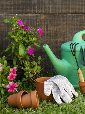 plants-pot-with-watering-can